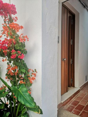 Erizo 3 loft diafáno en el Centro Histórico